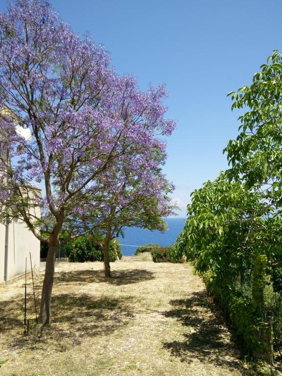 Bellavista Apartments Scopello  Ruang foto
